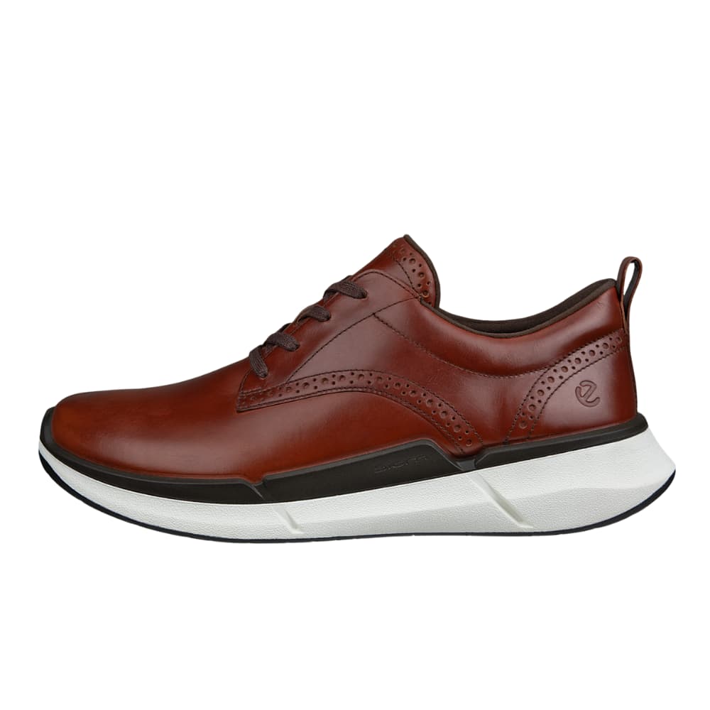 ECCO Men's biom 2.2