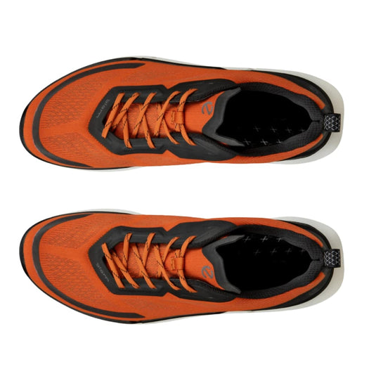 ECCO Men's biom 2.2 low breathru