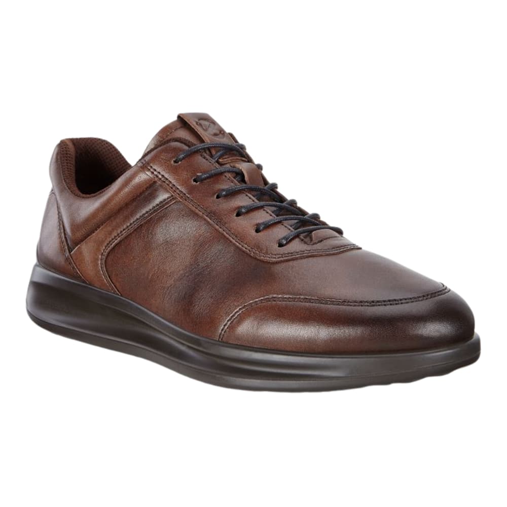 ECCO Men's Aquet Leather Shoe
